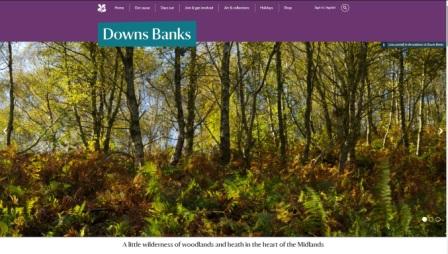 image of the Downs Banks website
