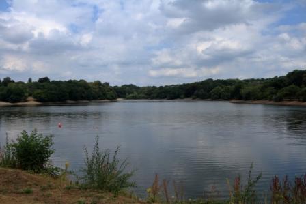 image of the Greenway Bank Country Park website