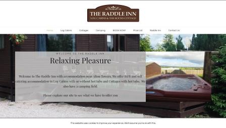 image of the Raddle website