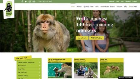 image of the monkey forest website