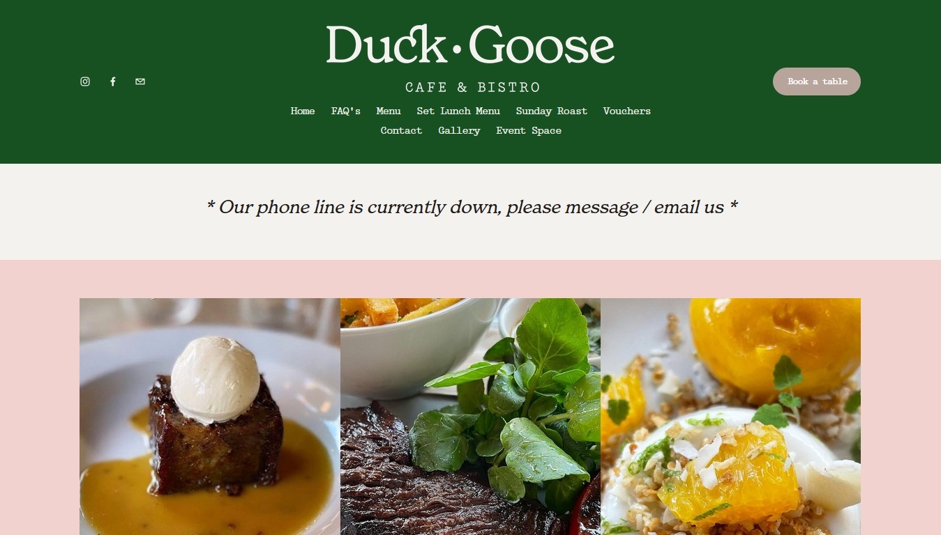 image of the Duck Goose website