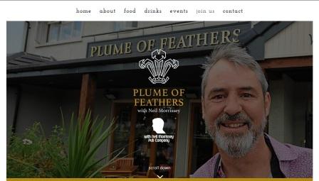 image of the Plume of Feathers website